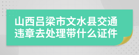 山西吕梁市文水县交通违章去处理带什么证件