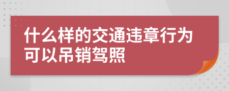 什么样的交通违章行为可以吊销驾照