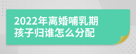 2022年离婚哺乳期孩子归谁怎么分配