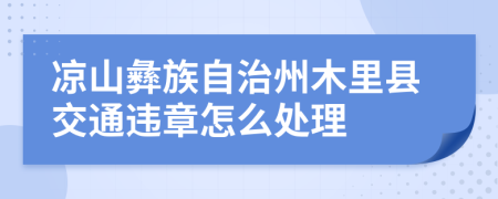 凉山彝族自治州木里县交通违章怎么处理