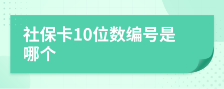 社保卡10位数编号是哪个