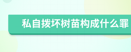 私自拨坏树苗构成什么罪