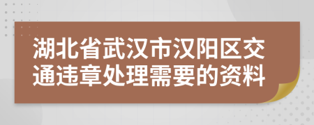 湖北省武汉市汉阳区交通违章处理需要的资料