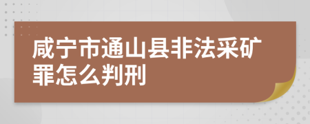 咸宁市通山县非法采矿罪怎么判刑