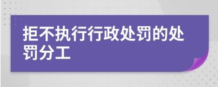 拒不执行行政处罚的处罚分工