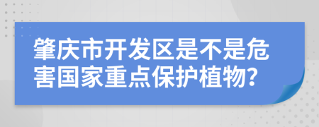 肇庆市开发区是不是危害国家重点保护植物？