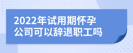 2022年试用期怀孕公司可以辞退职工吗