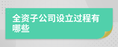 全资子公司设立过程有哪些