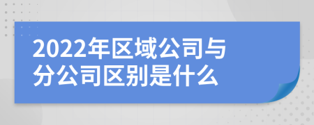 2022年区域公司与分公司区别是什么