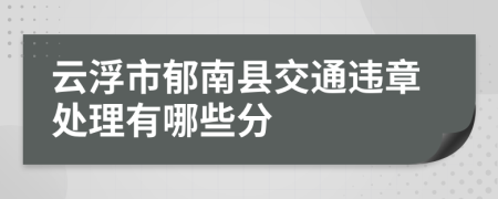 云浮市郁南县交通违章处理有哪些分