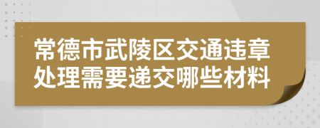 常德市武陵区交通违章处理需要递交哪些材料