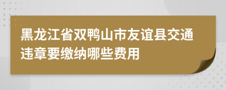 黑龙江省双鸭山市友谊县交通违章要缴纳哪些费用