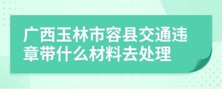 广西玉林市容县交通违章带什么材料去处理