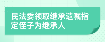 民法委领取继承遗嘱指定侄子为继承人