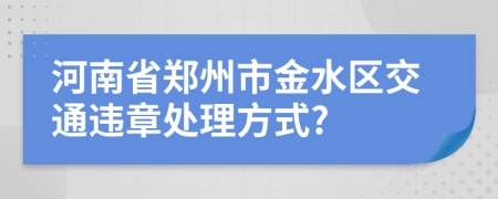 河南省郑州市金水区交通违章处理方式?