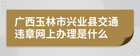 广西玉林市兴业县交通违章网上办理是什么