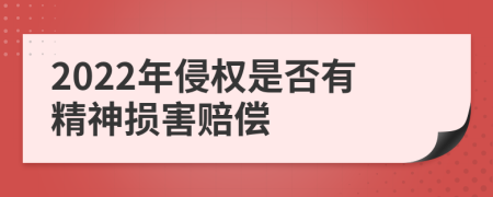 2022年侵权是否有精神损害赔偿