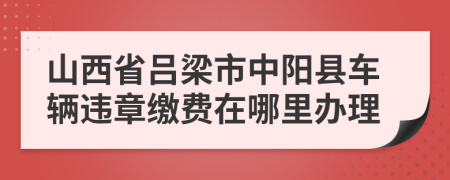 山西省吕梁市中阳县车辆违章缴费在哪里办理