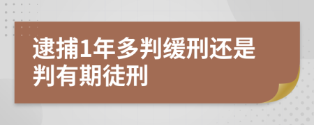 逮捕1年多判缓刑还是判有期徒刑