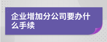 企业增加分公司要办什么手续