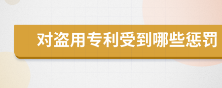 对盗用专利受到哪些惩罚