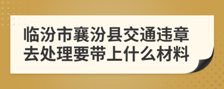 临汾市襄汾县交通违章去处理要带上什么材料