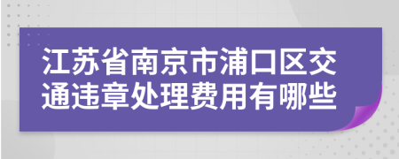 江苏省南京市浦口区交通违章处理费用有哪些