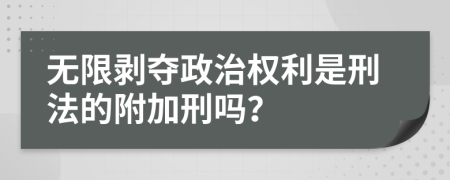 无限剥夺政治权利是刑法的附加刑吗？