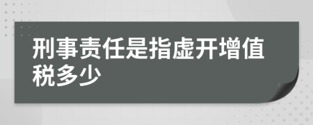 刑事责任是指虚开增值税多少