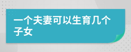 一个夫妻可以生育几个子女