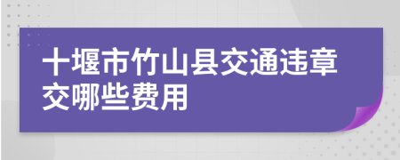 十堰市竹山县交通违章交哪些费用