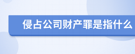 侵占公司财产罪是指什么