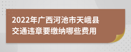 2022年广西河池市天峨县交通违章要缴纳哪些费用