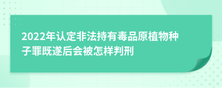 2022年认定非法持有毒品原植物种子罪既遂后会被怎样判刑