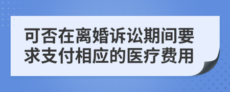 可否在离婚诉讼期间要求支付相应的医疗费用