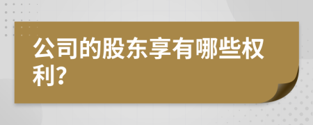 公司的股东享有哪些权利？