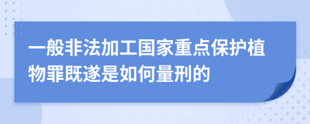 一般非法加工国家重点保护植物罪既遂是如何量刑的