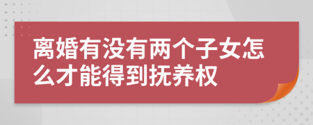 离婚有没有两个子女怎么才能得到抚养权