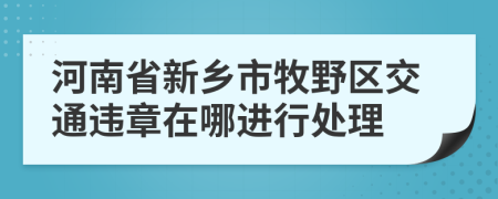 河南省新乡市牧野区交通违章在哪进行处理