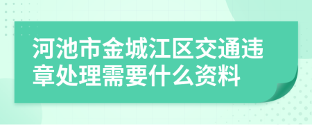 河池市金城江区交通违章处理需要什么资料