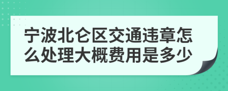 宁波北仑区交通违章怎么处理大概费用是多少