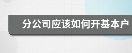 分公司应该如何开基本户