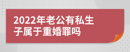 2022年老公有私生子属于重婚罪吗