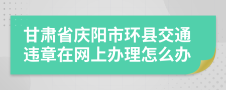 甘肃省庆阳市环县交通违章在网上办理怎么办