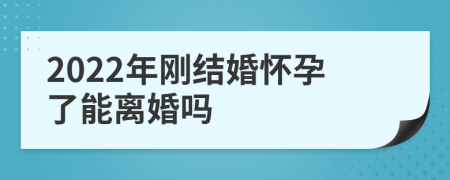 2022年刚结婚怀孕了能离婚吗