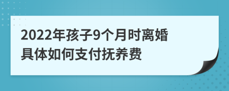 2022年孩子9个月时离婚具体如何支付抚养费