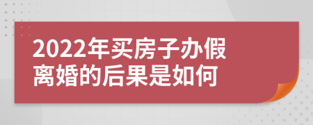 2022年买房子办假离婚的后果是如何