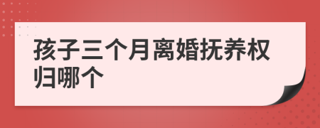 孩子三个月离婚抚养权归哪个
