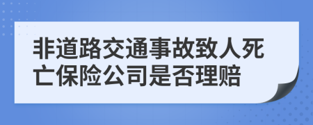 非道路交通事故致人死亡保险公司是否理赔