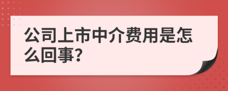 公司上市中介费用是怎么回事？